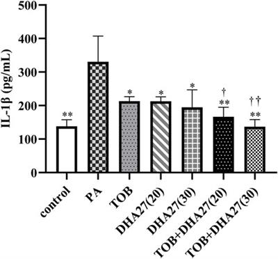 Artemisinin derivative DHA27 enhances the antibacterial effect of aminoglycosides against Pseudomonas aeruginosa by inhibiting mRNA expression of aminoglycoside-modifying enzymes